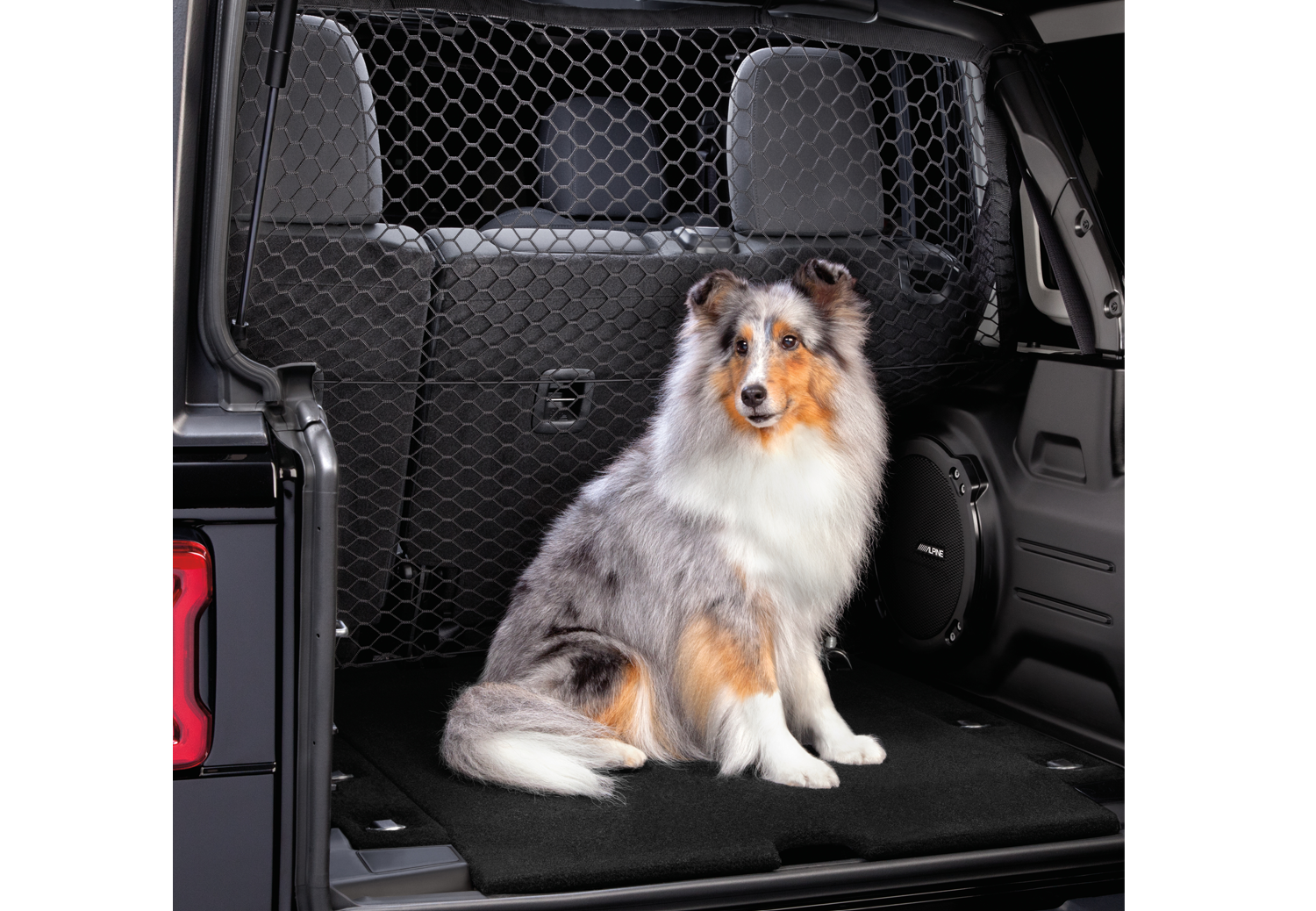 Pet partition top